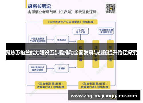 聚焦苏格兰能力建设五步骤推动全面发展与战略提升路径探索